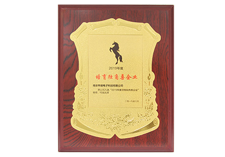 南京市培育独角兽企业